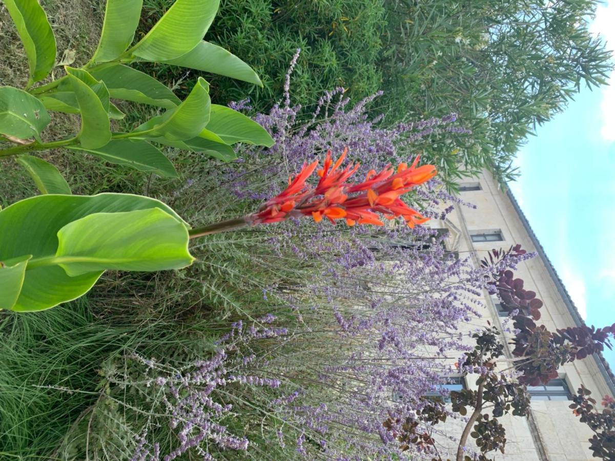 Hotel Domaine Terroceane La-Gripperie-Saint-Symphorien Zewnętrze zdjęcie