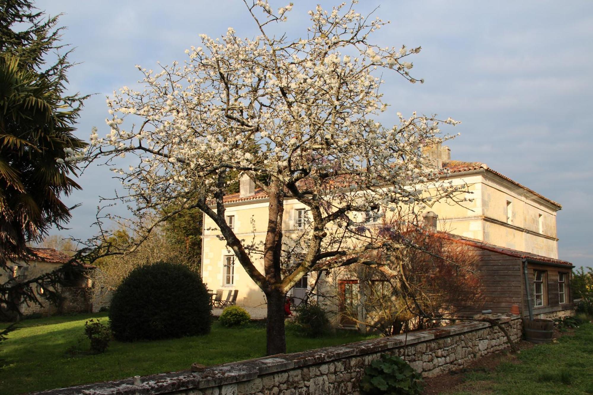 Hotel Domaine Terroceane La-Gripperie-Saint-Symphorien Zewnętrze zdjęcie