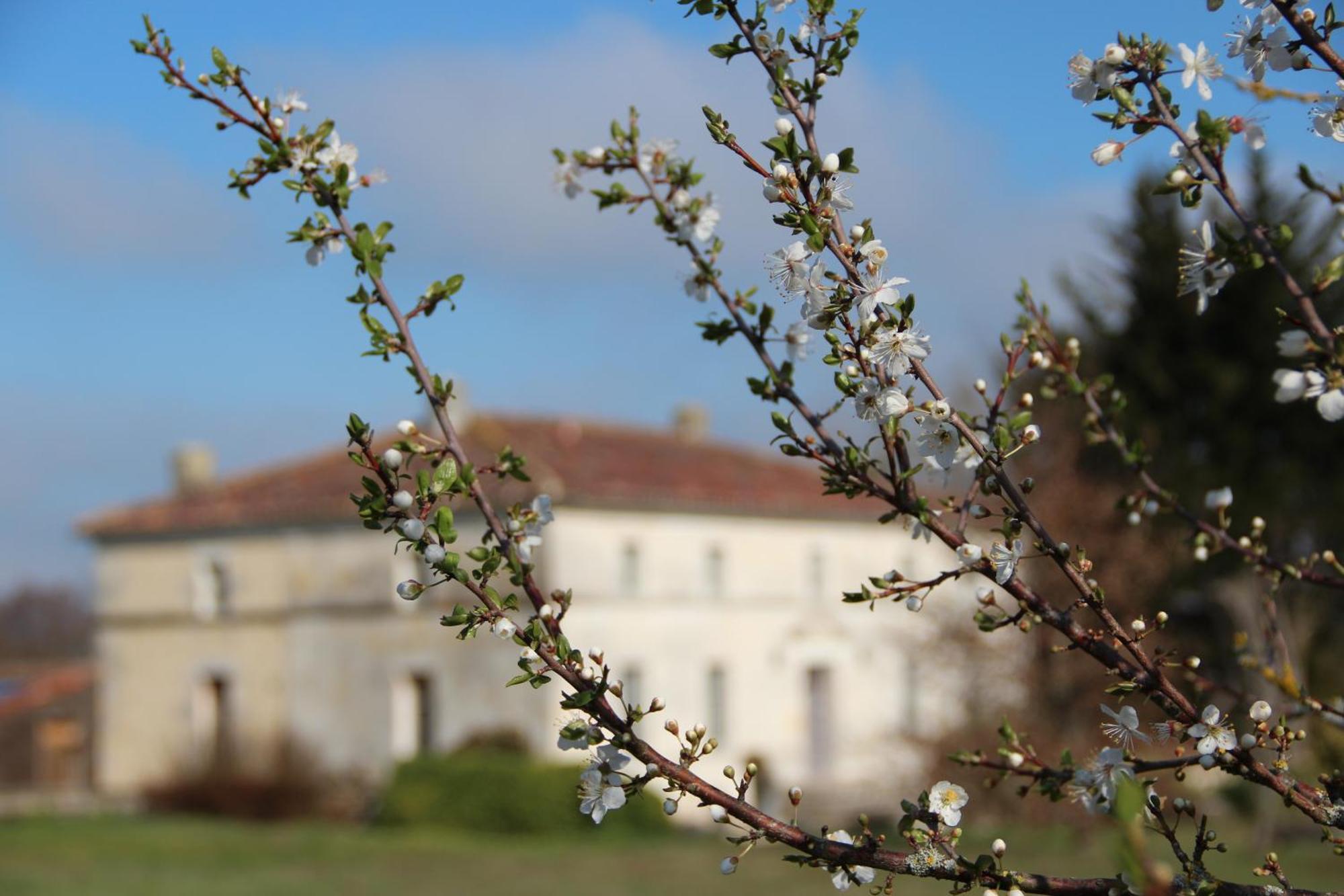 Hotel Domaine Terroceane La-Gripperie-Saint-Symphorien Zewnętrze zdjęcie